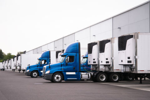 Reefer trucks at warehouse dock getting unloaded.