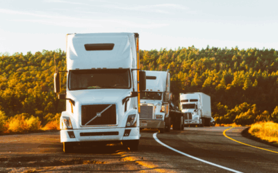 5 Keys to Choosing the Right 3PL Partner for Your  Cold Chain Needs
